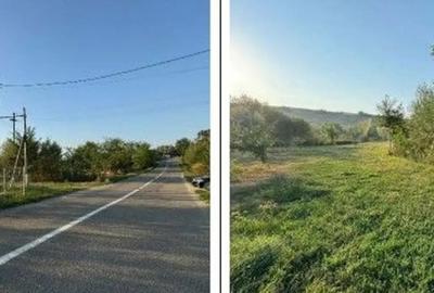 Teren de 2500 mp, în Români - 1