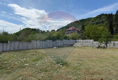 Teren Construcții intravilan de 1554 mp, în Valea Roșie - 2