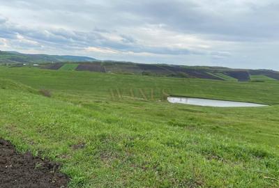 Teren agricol de 10200 mp, în Țagu - 6