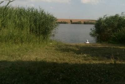 Teren de 2500 mp, în Bulbucata - 4