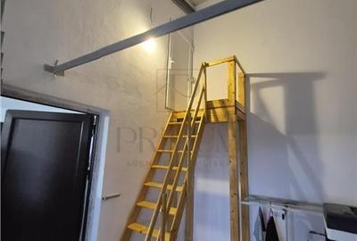 Hala / Spațiu de depozitare - cu birou și dormitor ? curte generoas&#2 - 6