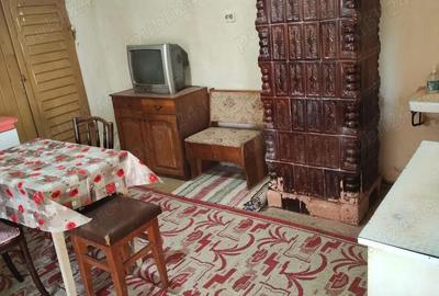 Casă cu 6 camere cu Teren 3277 Mp în Cenad - 3