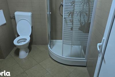Spațiu comercial, de 135 mp, în Central - 12