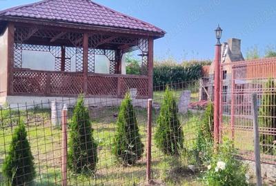 Vand casa locuibila posibilitate afacere - 4