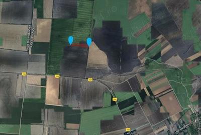 Teren de 53211 mp, în Merii Petchii - 2