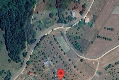 Casă cu 4 camere cu Teren 11769 Mp în Bulz