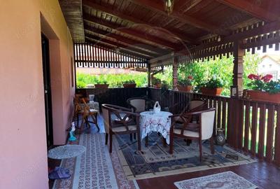 Casa cu 2 camere, de vanzare, in Lapusel! - 11