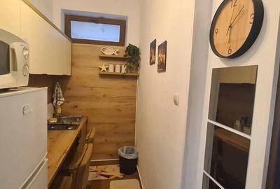 Garsoniera spatiu comercial Faleza Nord - 1