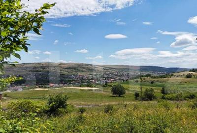 OPORTUNITATE! Teren intravilan 700 mp, Chinteni - 3