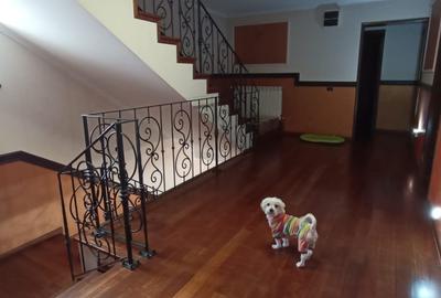 Vanzare vila pretabil gradinita,after school 445 mp zona Rahova Bucuresti - 14