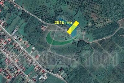 Teren intravilan 2510 mp, Livezilor, Somcuta Mare, zona cu potential de dezvoltare turistic - 2