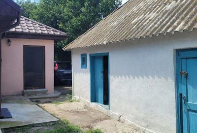 Casă cu 5 camere cu Teren 1000 Mp în Murighiol - 2