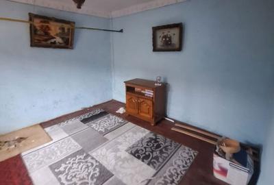 Casă cu 4 camere cu Canalizare în Viile Noi - 11