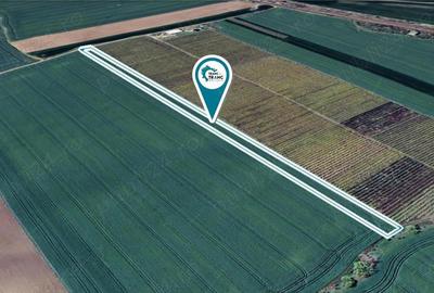 Teren de 10057 mp, în Zimandu Nou - 2