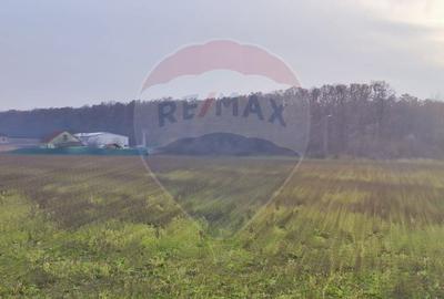 De vanzare casa cu etaj 4 camere, la rosu iesire Les langa padure - 9