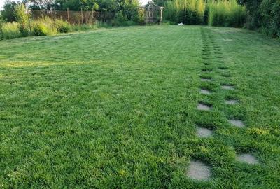 Casa plus teren de vanzare - 5