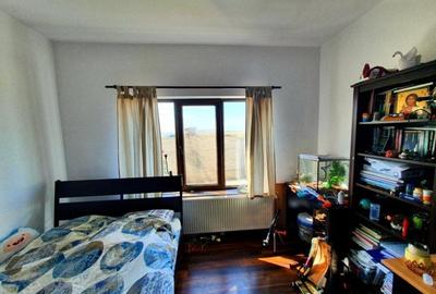 Vila de 230 mp utili, mobilata, 844 mp teren, in comuna Berceni - 9