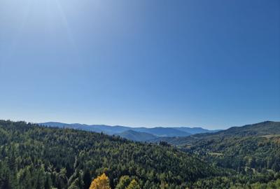 Vindem teren forestier 44165 mp Doabra - Bucovina - 4