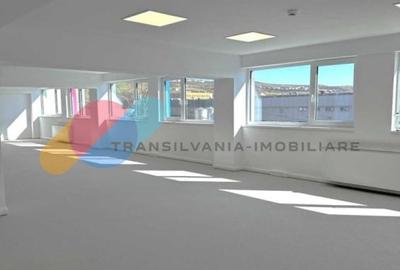 Birou, de 181 mp, în Iris - 1