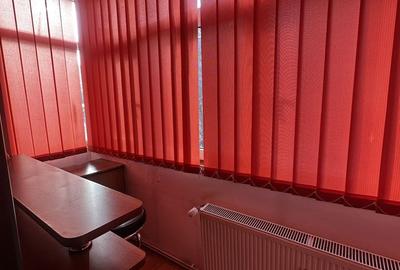 Apartament cu 2 camere semidecomandat, mobilat în Baba Novac - 9