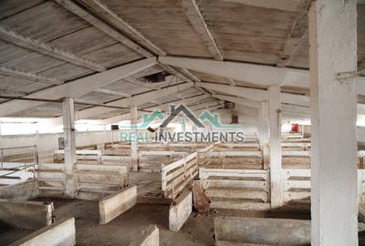 Spațiu comercial, de 20,000 mp, în Semlac - 11