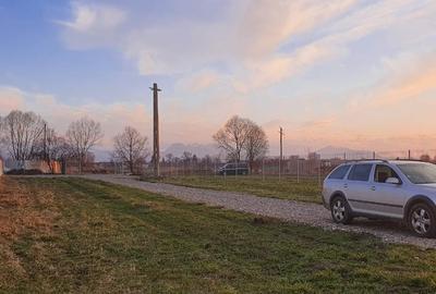 Teren intravilan 5.000 mp - Prejmer, Brașov - 2