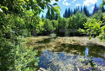 Ocazie , cabana, 300 mp utili, Poiana Stampei cu 6060 mp ter - 13