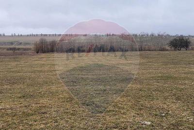 Teren 2925 mp comuna Mitocu Dragomirnei - 11