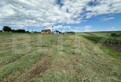 Teren de 3300 mp, în Central - 3