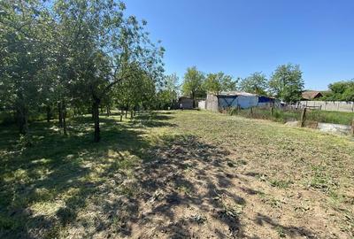 Spațiu comercial, în Sânandrei - 1