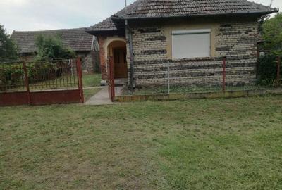 Casă cu 3 camere cu Teren 5000 Mp în Horea - 7