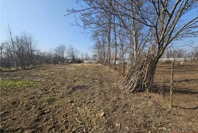 Teren de 2000 mp, în Calea Romanului - 1