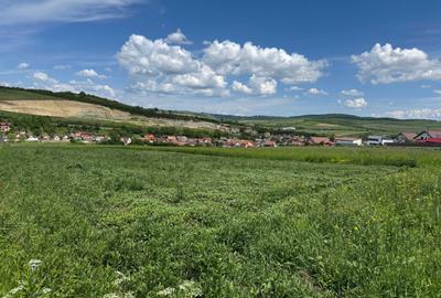 Spațiu comercial, în Șura Mare - 2