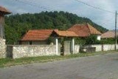 Teren de 3900 mp, în Sâmbotin - 10