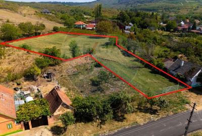 Teren Construcții intravilan de 4184 mp, în Miniș - 8