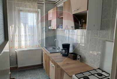 Apartament cu 2 camere de inchiriat in zona Cornisa - Piata Sud - 3