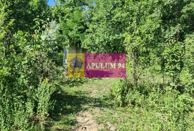 Teren de vânzare în Poiana-Câmpina - 11