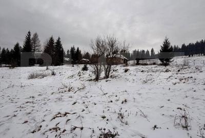 Teren de 10746 mp, în Fundu Moldovei - 2