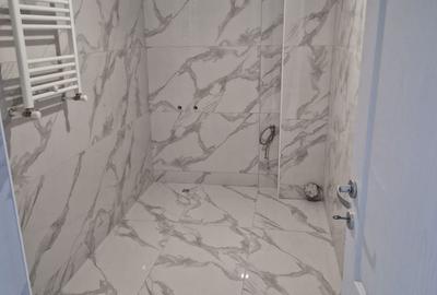 Apartament cu 2 camere decomandat în Lunca Cetățuii - 3