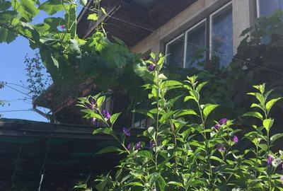 Casă cu Teren 280 Mp în Marghita - 1