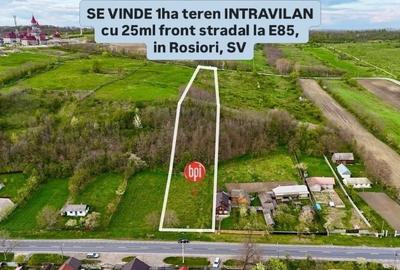 Teren Construcții intravilan de 10000 mp, în Roșiori - 1