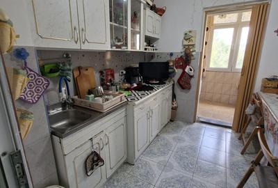 Colentina,Rau Fundeni,Maior Vasile Bacila - 9