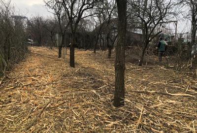 Vanzare Teren intravilan  Pipera Vanzare Teren intravilan  Pipera - 6
