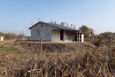 Teren agricol intravilan de 11000 mp, în Ceatalchioi - 9