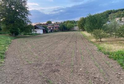Casă cu 3 camere în Brănișca - 6