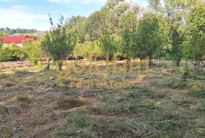Casă individuală cu 7 camere cu Canalizare în Cornu - 51