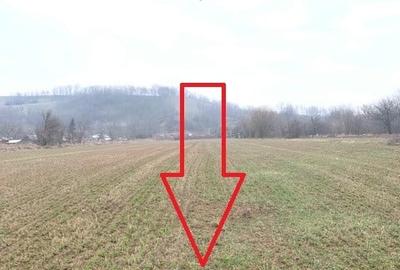 Teren de vanzare 7.123 mp intravilan, Buhusi - 13