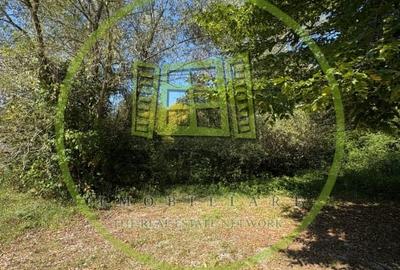 Teren intravilan de vanzare | 617 mp | zona Padurea Dumbrava - 11