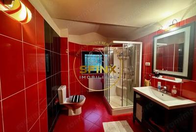 Casa 6 Camere, gradina spectaculoasa, Erou Iancu Nicolae - 14