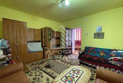 Casa renovata Berecuta comuna Birda asfalt - 5
